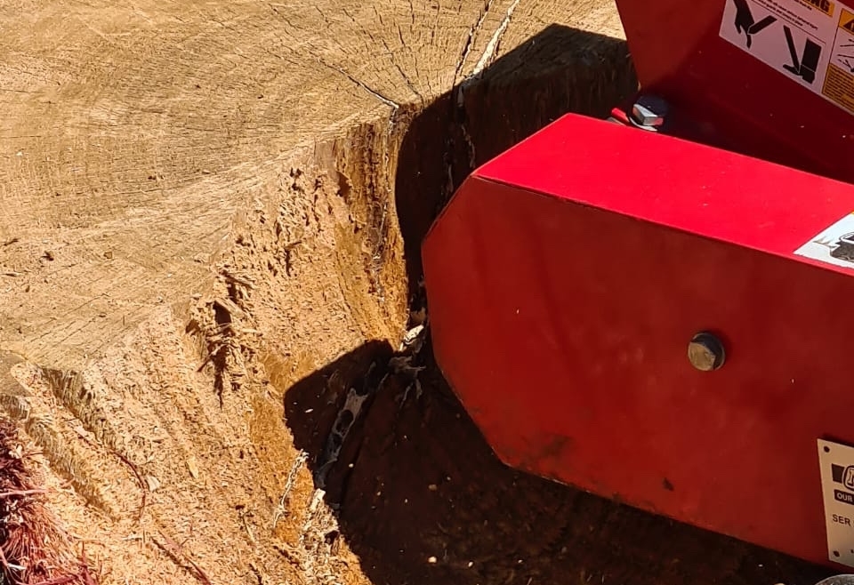 Stump Removal / Branch Chipper